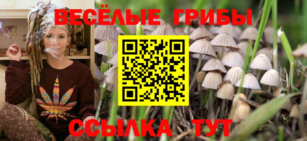 как найти наркотики  Вход с VPN  Белорецк  Псилоцибиновые грибы прущие грибы 