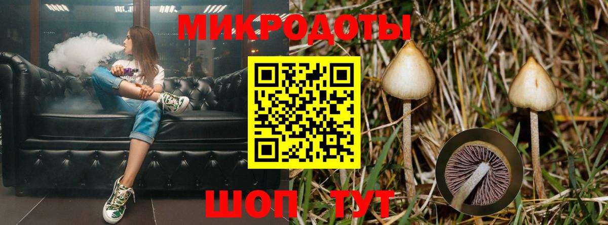 Псилоцибиновые грибы прущие грибы Белорецк